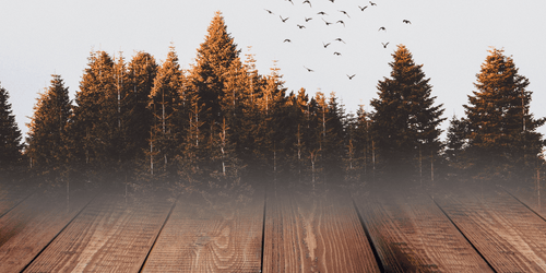 Grease Stains on Wooden Floors