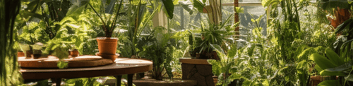 Eco-Conscious Consumers: Choosing Sustainable Wood Products