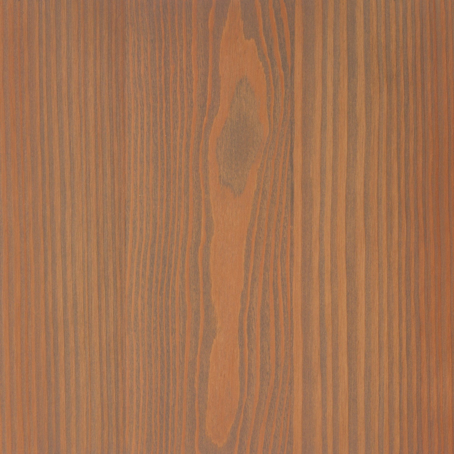 Larch