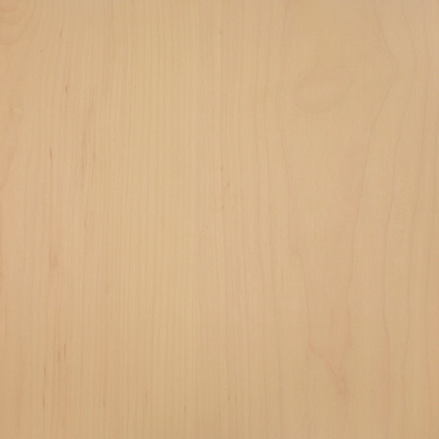 Maple